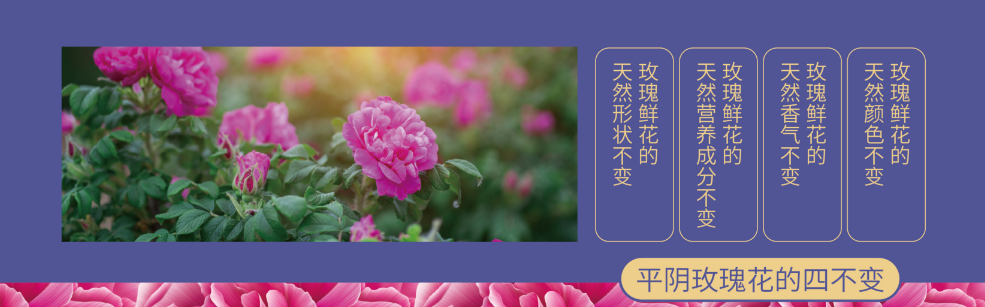 微信圖片_20230407164826.png 微信圖片_20230407164826.png